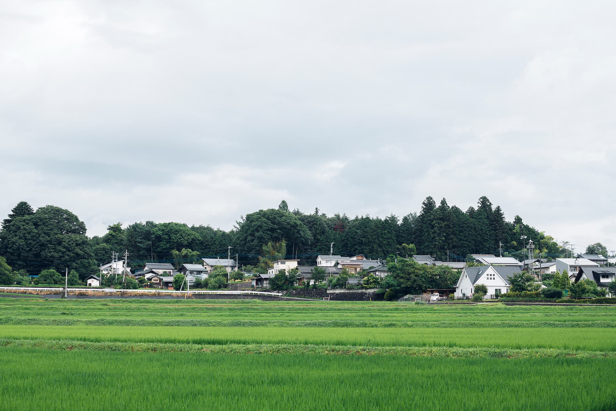 田園風景